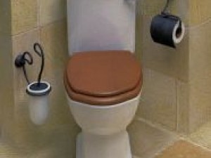 water closet pan (unitaz) 3D Model