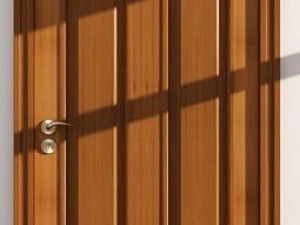 doors 3D Model