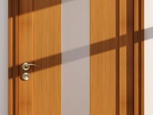 doors Model 3D