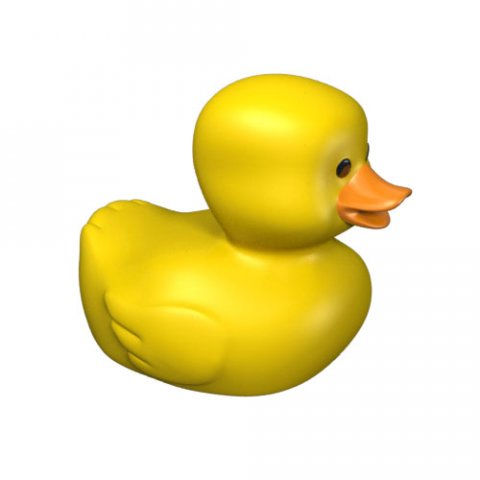 quack the rubber ducky 3D Model .c4d .max .obj .3ds .fbx .stl .blend 