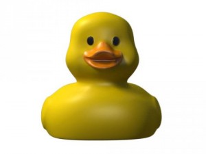 quack the rubber ducky 3D Model