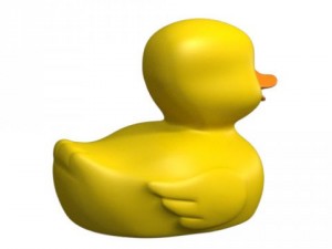 quack the rubber ducky 3D Model