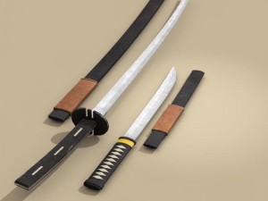 katana and wakizashi Model 3D