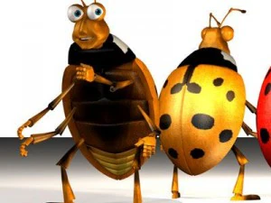 ladybug cartoon 3D Model