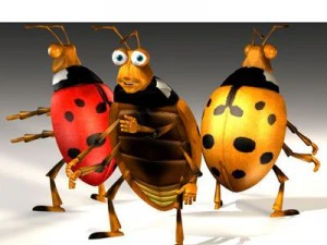 ladybug cartoon 3D Model