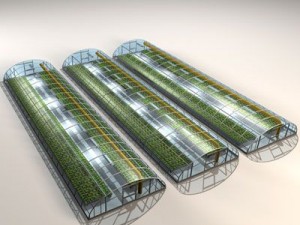 greenhouse Model 3D