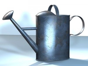 watercan Model 3D