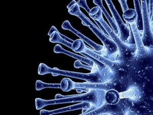 3 raccolta di virus Modello 3D