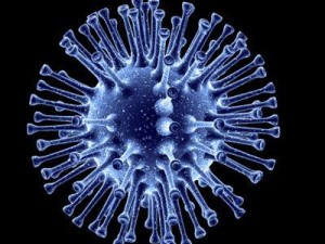 3 virus collection Modelo 3D