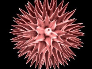 3 virus collection Modelo 3D
