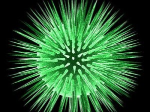 3 virus collection Modelo 3D