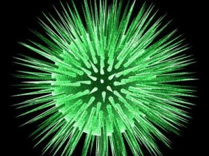 3 virus collection 3D Model