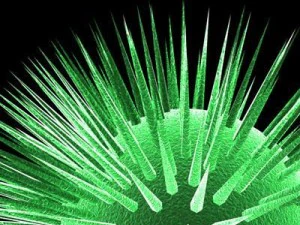 3 virus collection 3D Model