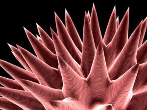3 virus collection Modelo 3D