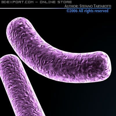 bacillus bacteria 3D Model .c4d .max .obj .3ds .fbx .stl .blend 