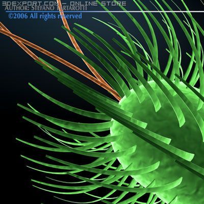 escherichia coli bacteria Model 3D .c4d .max .obj .3ds .fbx .stl .blend 