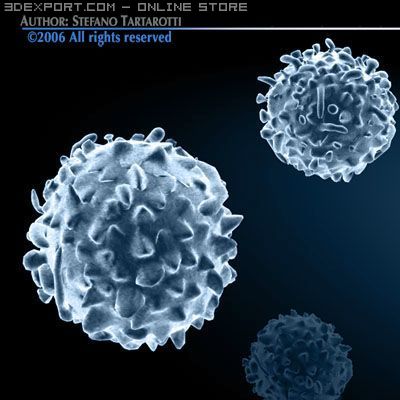white blood cells 3D 模型 .c4d .max .obj .3ds .fbx .stl .blend 