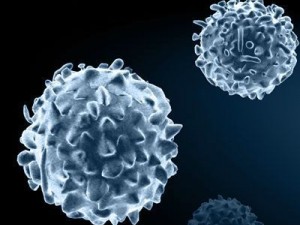 white blood cells 3D मॉडल