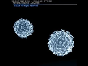 white blood cells 3D Model
