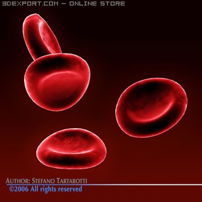 red blood cells 3D Model .c4d .max .obj .3ds .fbx .stl .blend 