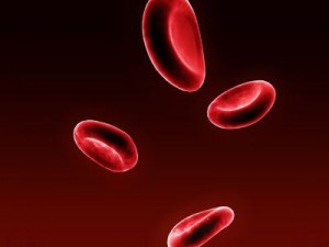 red blood cells 3D Model