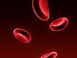 red blood cells 3D Model