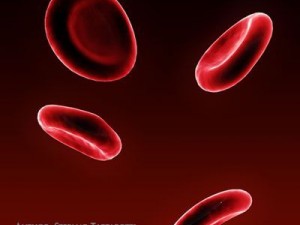 red blood cells 3D Model
