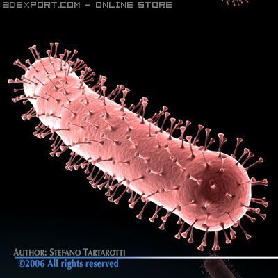 avian flu virus 3Dモデル .c4d .max .obj .3ds .fbx .stl .blend 