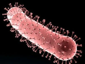 virus de la gripe aviar Modelo 3D