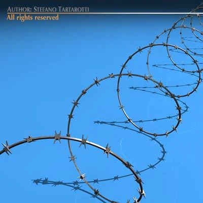 barbed wire 3D Model .c4d .max .obj .3ds .fbx .stl .blend 