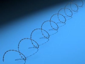 barbed wire 3D Model