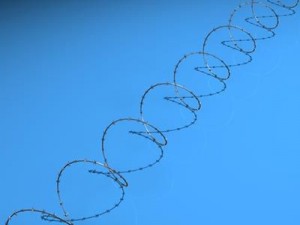 barbed wire 3D Model