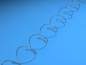 barbed wire 3D Model