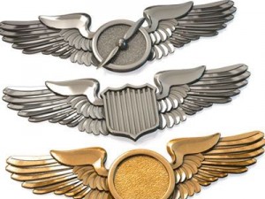 wings badges Modèle 3D