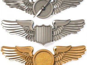 wings badges Modèle 3D