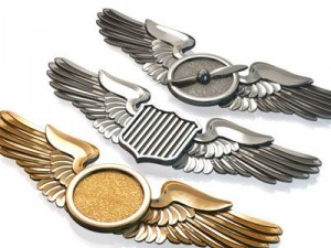 wings badges Modèle 3D