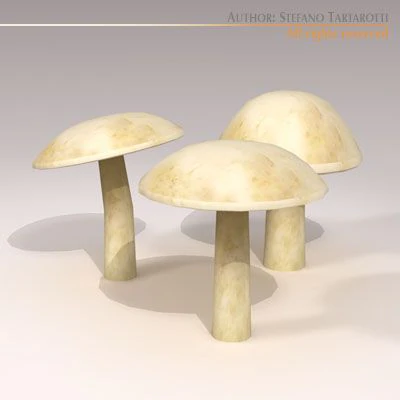 mushrooms 3D Model .c4d .max .obj .3ds .fbx .stl .blend 