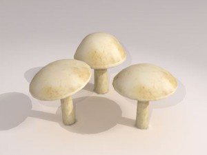 mushrooms Modelo 3D