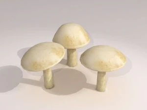 mushrooms 3D Model