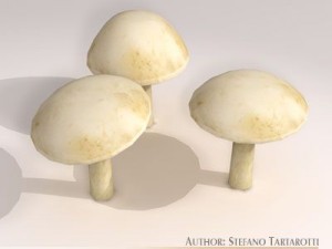 mushrooms Modelo 3D