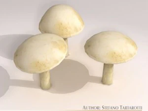 mushrooms 3D Model