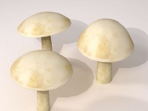 mushrooms Modelo 3D