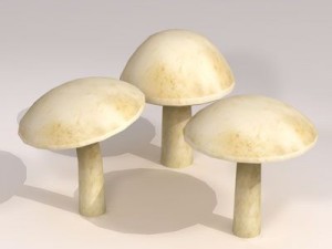 mushrooms Modelo 3D