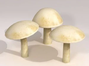 mushrooms 3D Model