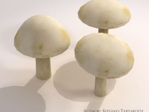 mushrooms Modelo 3D