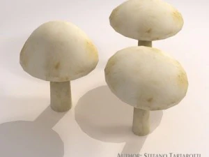 mushrooms 3D Model