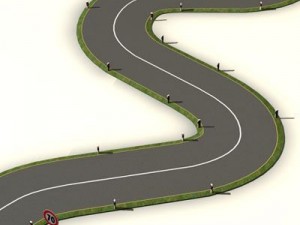 road with curves 3D Model