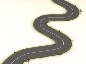 road with curves 3D Model