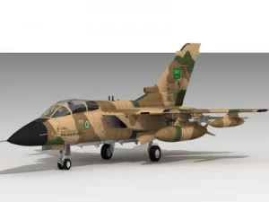 토네이도 고급 RSAF 3D 모델