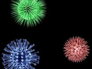 micro cells models collection 3D Model